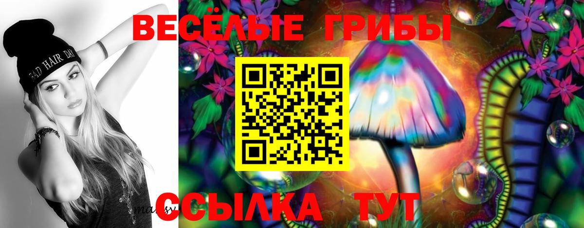 Галлюциногенные грибы GOLDEN TEACHER  Галлюциногенные грибы MAGIC MUSHROOMS  Кашира  Вход с VPN 